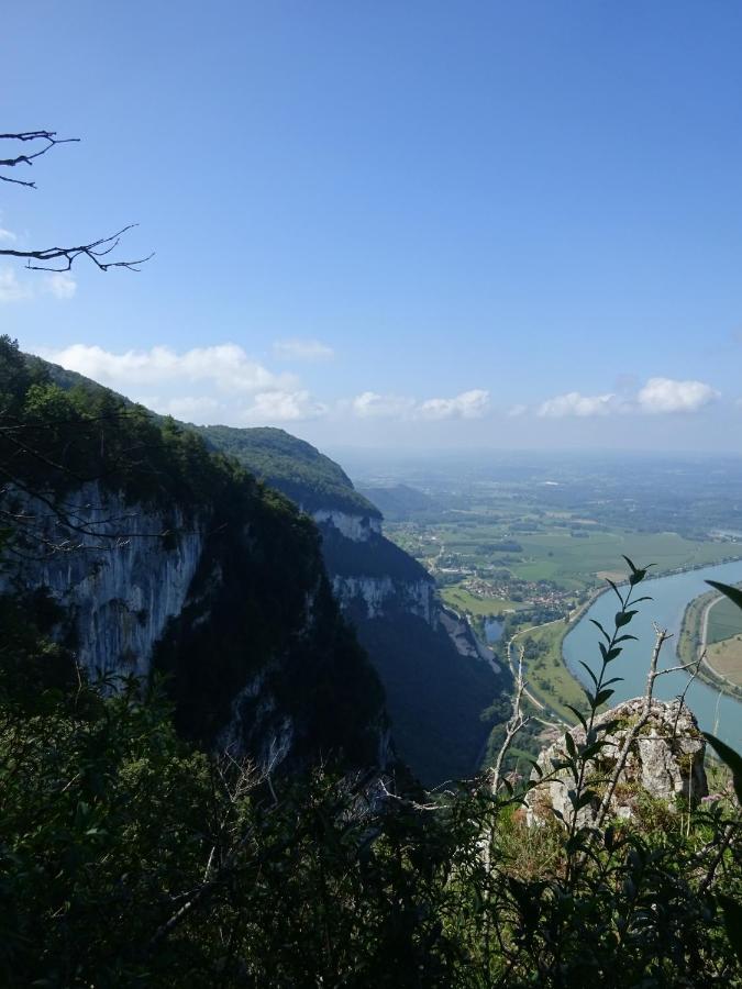 Saint-Maurice-de-Rotherens Gite 4 Personnes Avec Exterieur 빌라 외부 사진